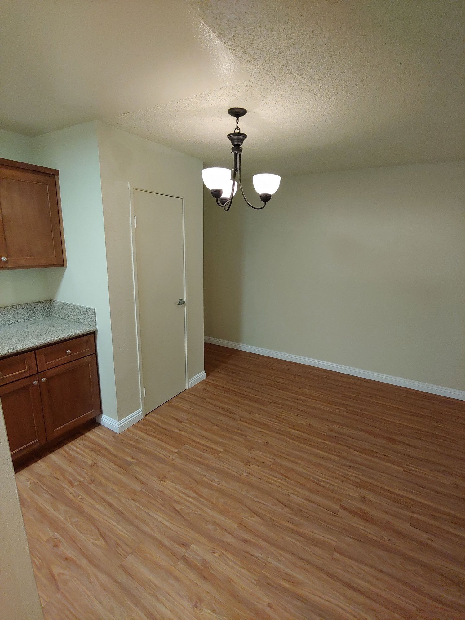 Gallery Photo 5