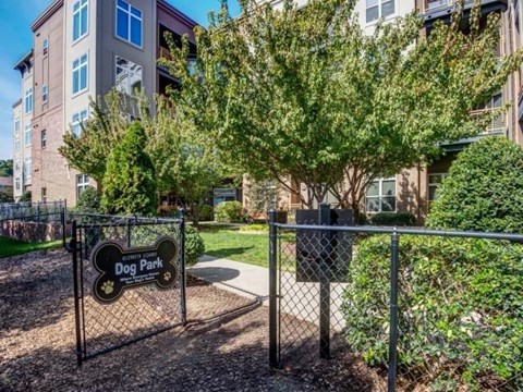 Dog Park at Elizabeth Square Apartments in Charlotte, NC