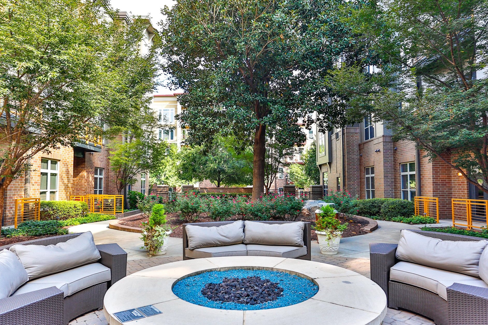 Plaza Midwood Apartments in Charlotte, NC | Elizabeth Square Apartments