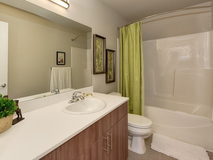 Bathroom with Cabinets, Wood Inspired Floors, Toilet and Lime Green Shower Curtain