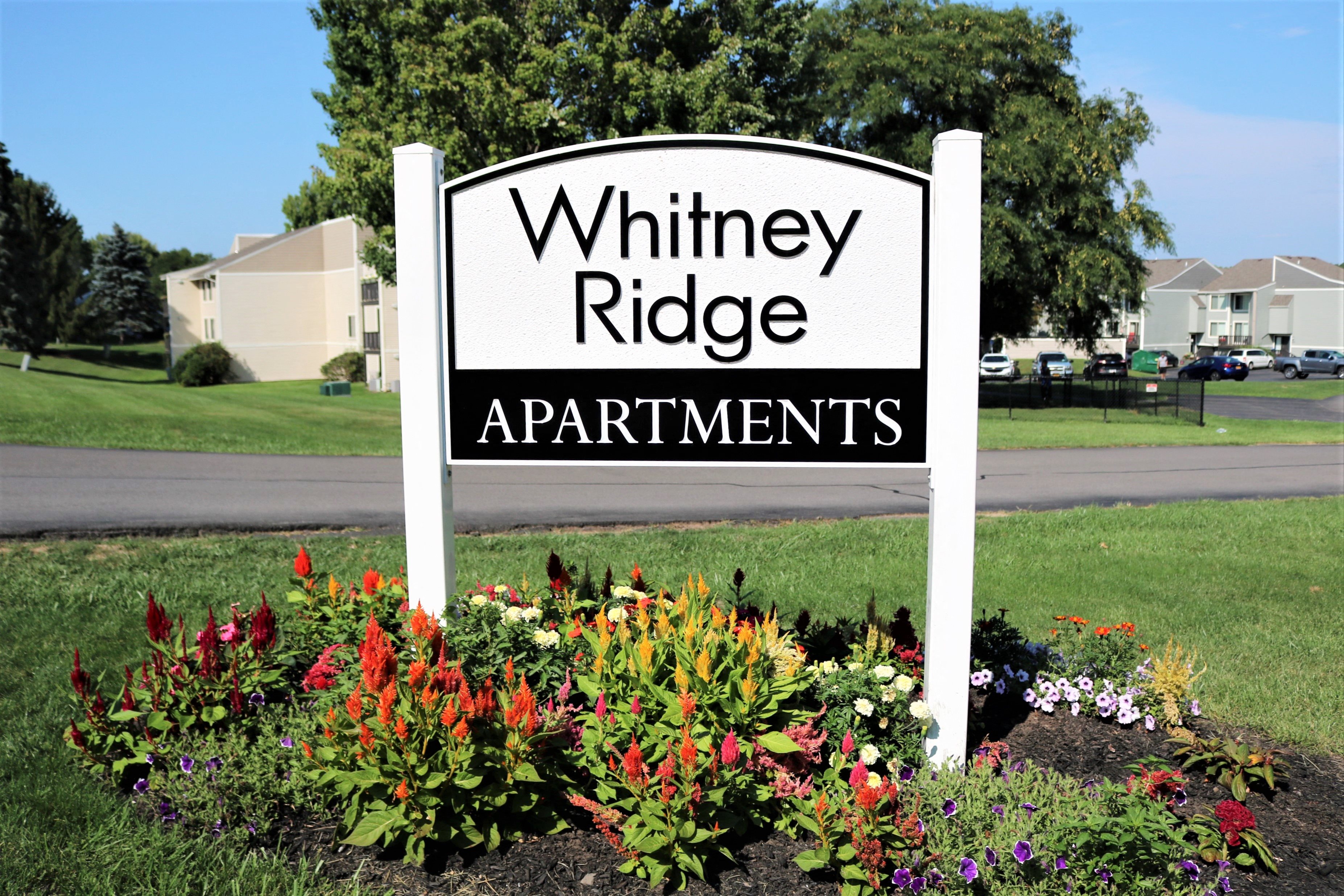 Photos and Video of Whitney Ridge Apartments in Fairport, NY