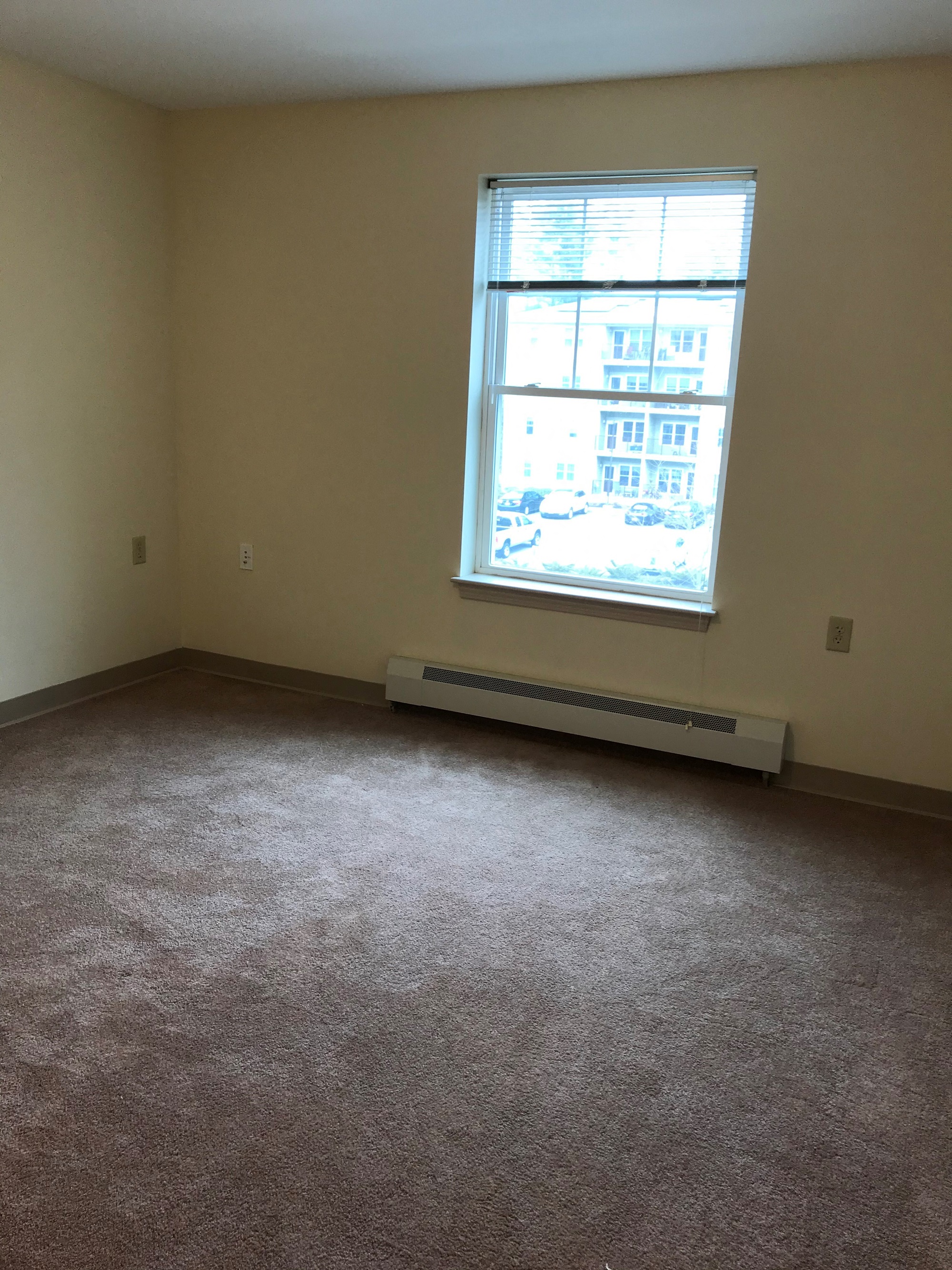 Gallery Photo 5