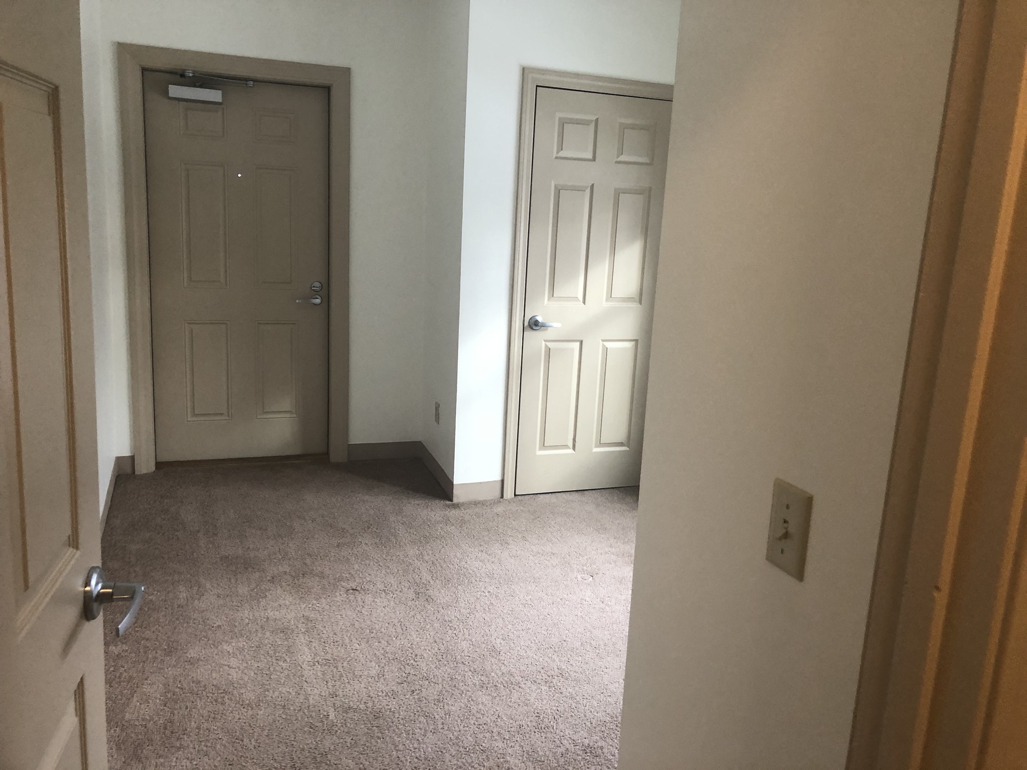 Gallery Photo 7