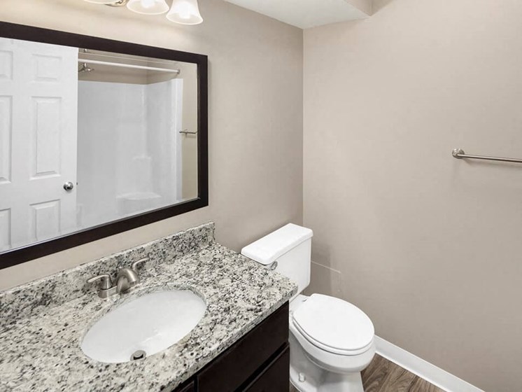 Burwick Farms apartment homes large bathroom mirror