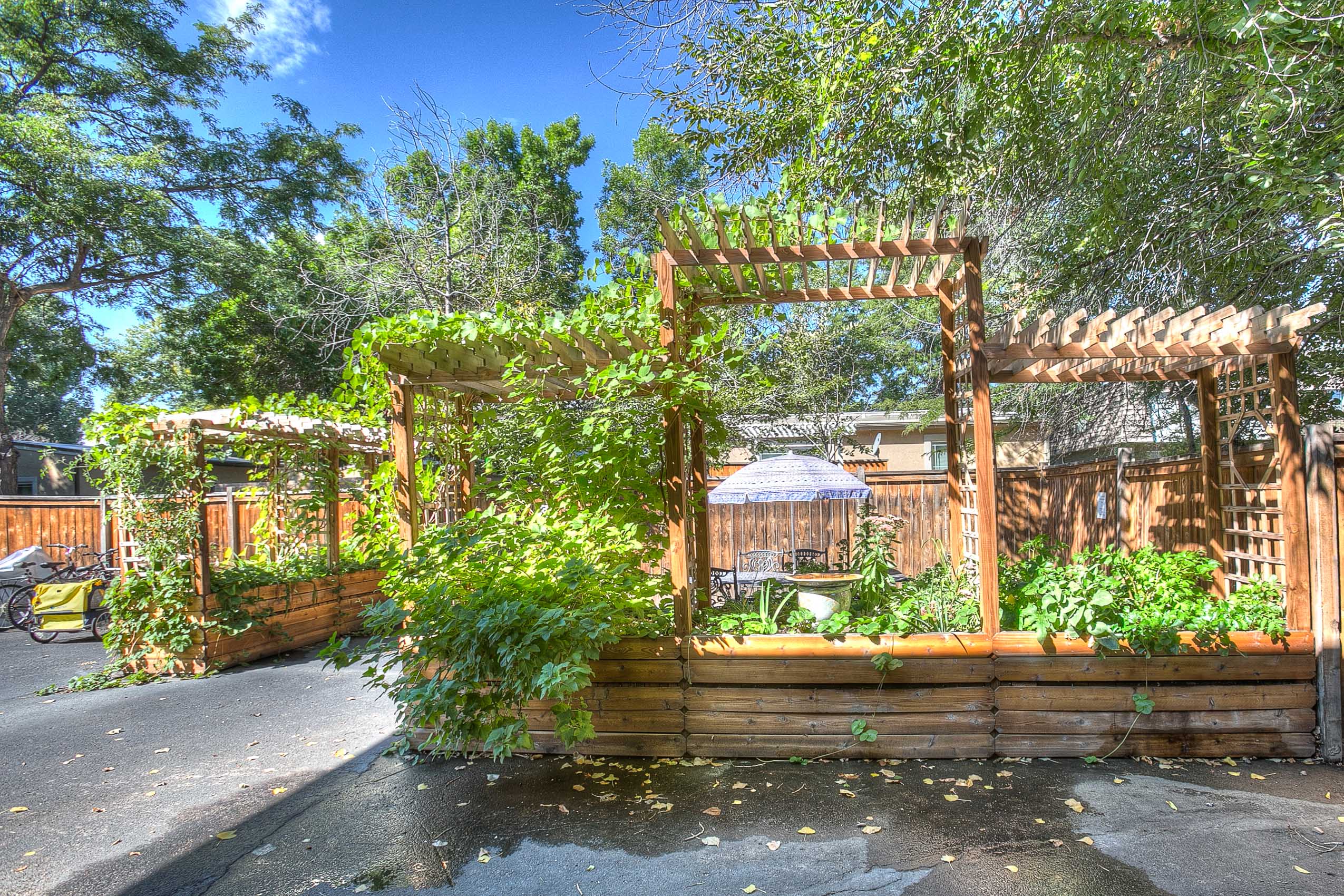 Village on Stanford shared green area