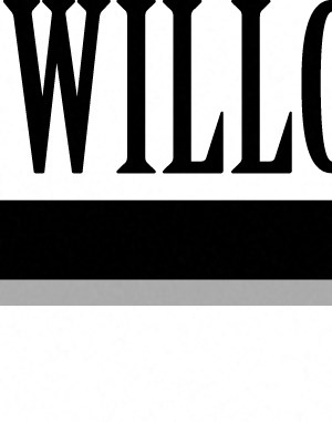 One Bedroom Willow