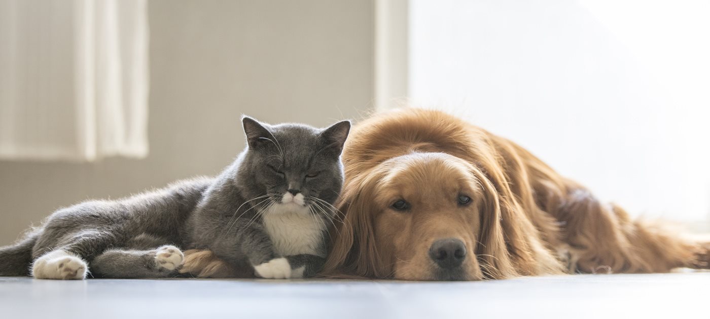 Sandpiper Apartments in Ft. Pierce, FL