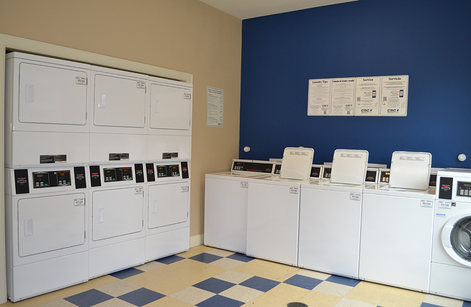 Gallery Photo 11