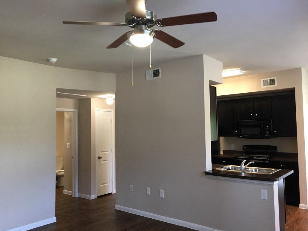 Gallery Photo 12