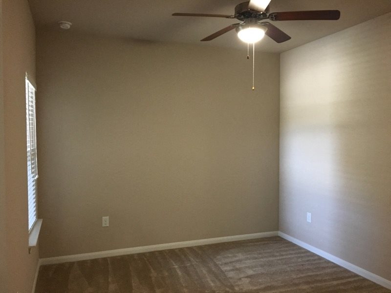 Gallery Photo 16