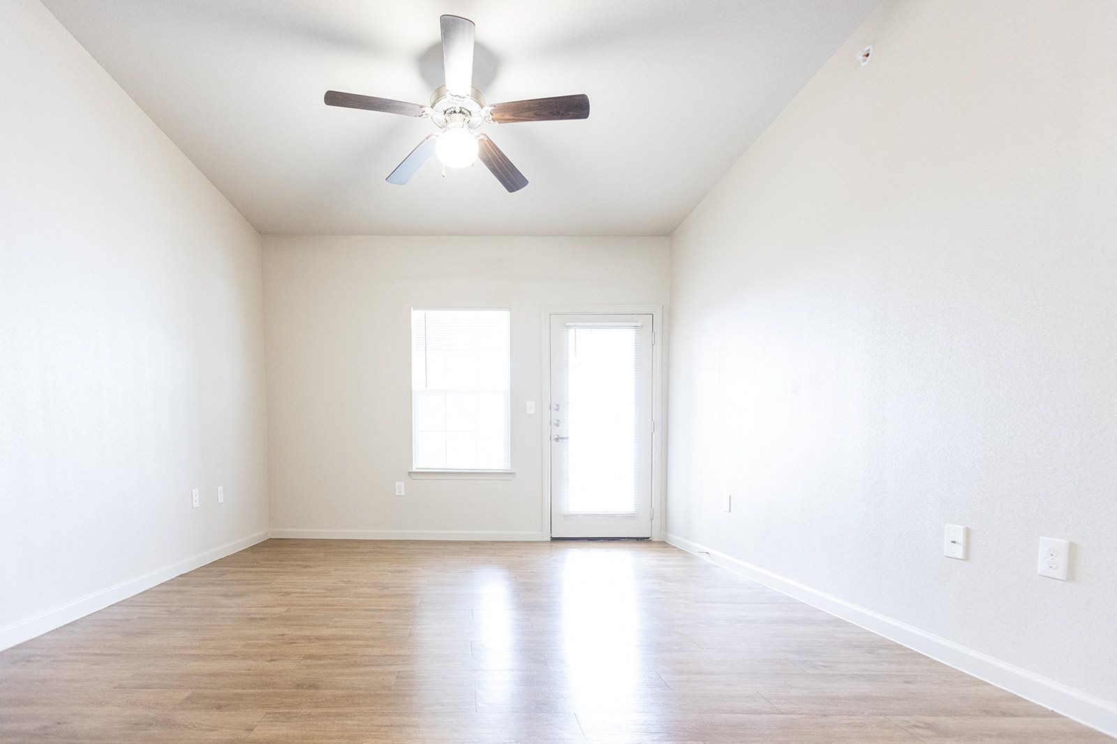 Gallery Photo 29