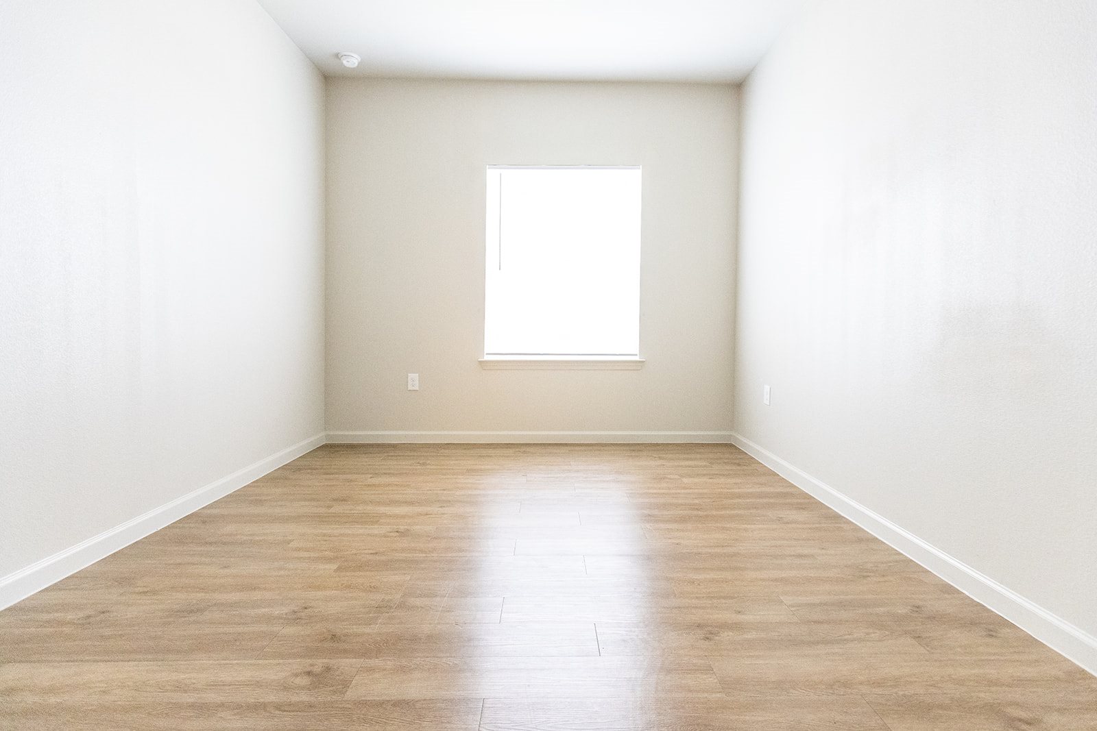 Gallery Photo 38