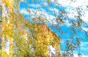 Photo Gallery | Solara | Luxury Apartments in Seattle, WA