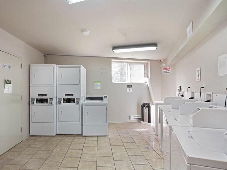 Apartment Laundry in Pangea Oaks