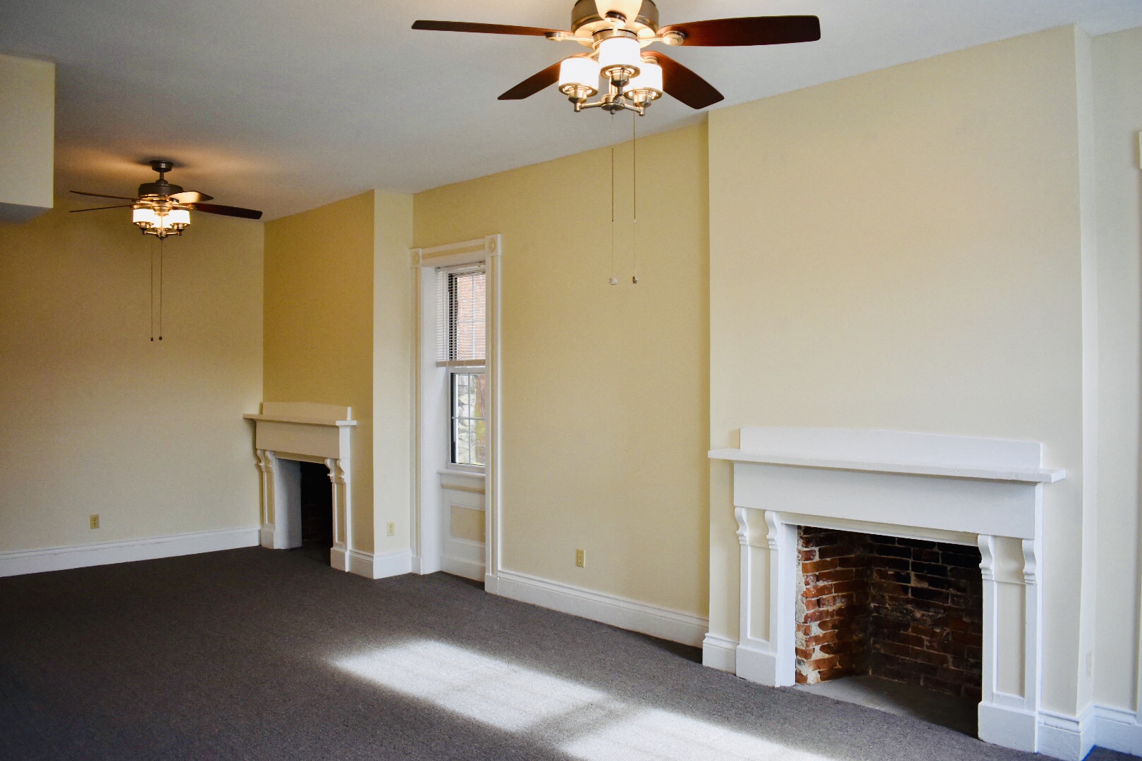 Gallery Photo 24