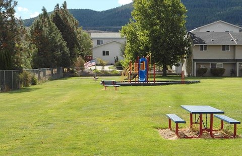 Picnic table and playground equipment