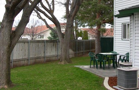 backyard and patio