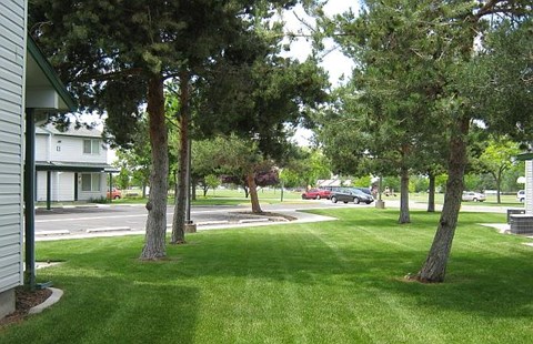 landscaping and parking area