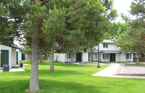 landscaping with mature trees