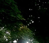 Big Sky Apartments Login Big Sky Apartments Login