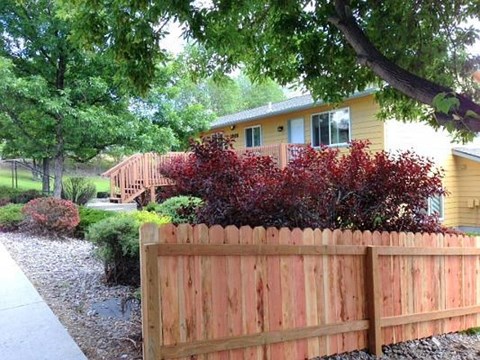 Landscaping and fence