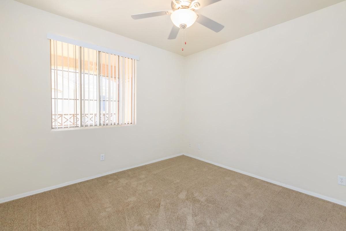 Gallery Photo 15