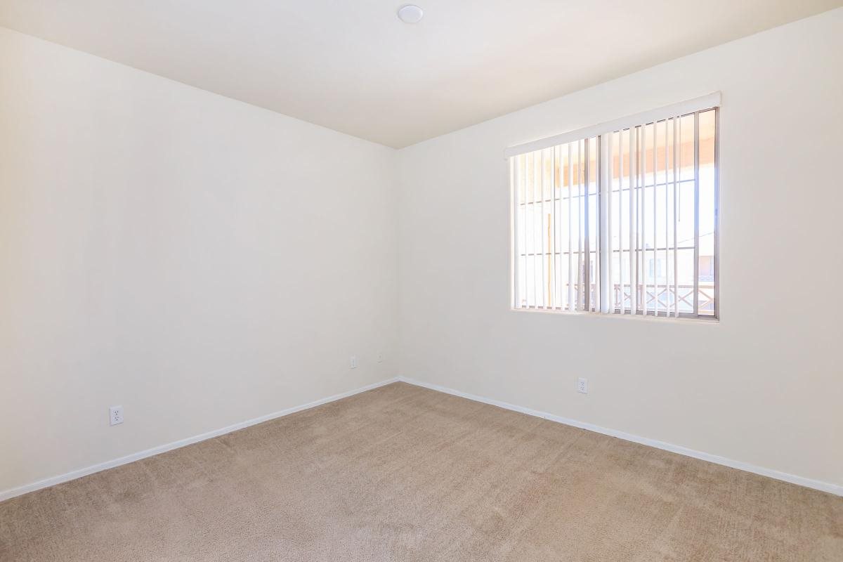 Gallery Photo 16