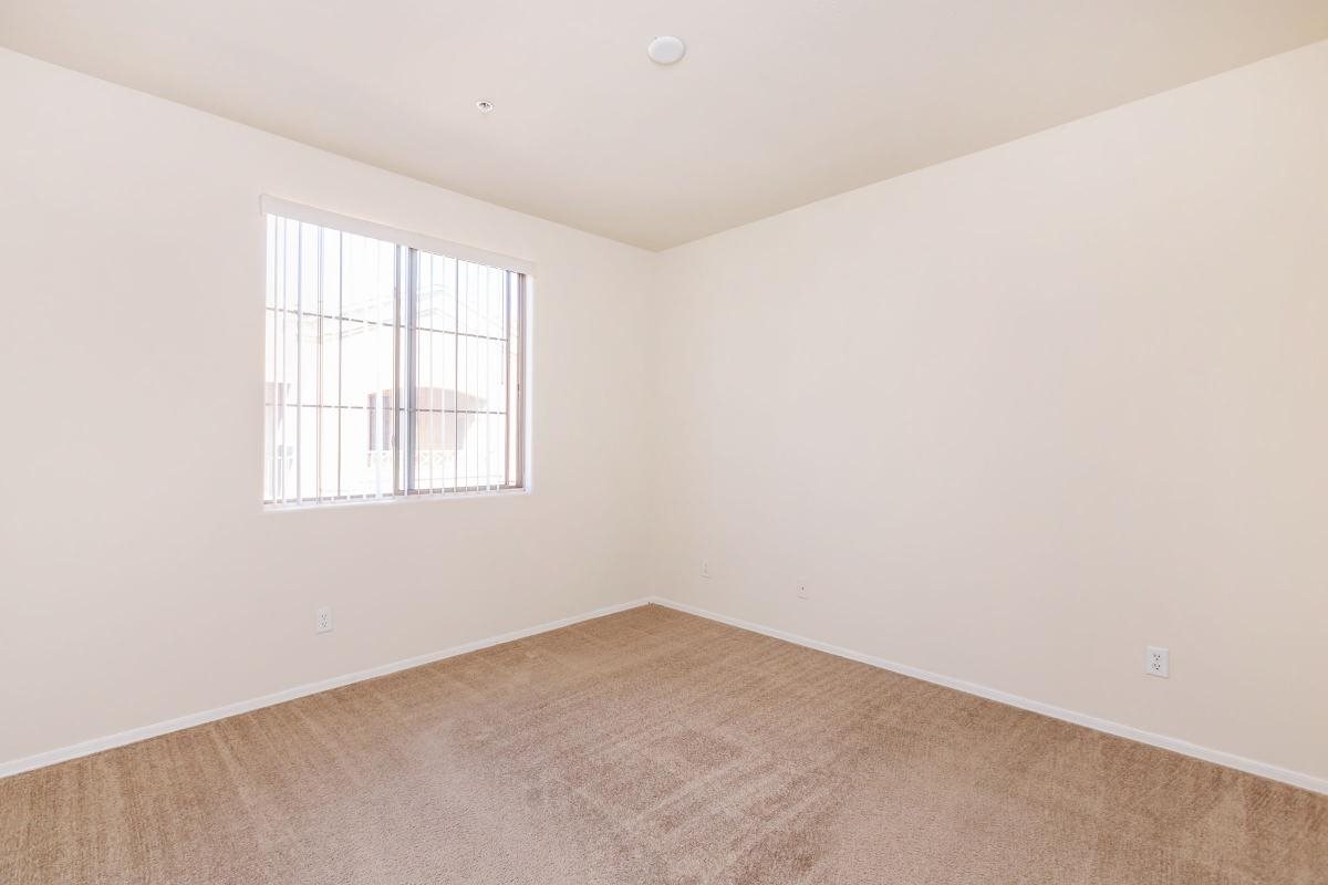 Gallery Photo 22
