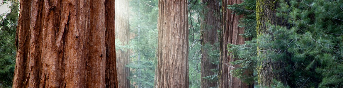 Gallery Photo 0