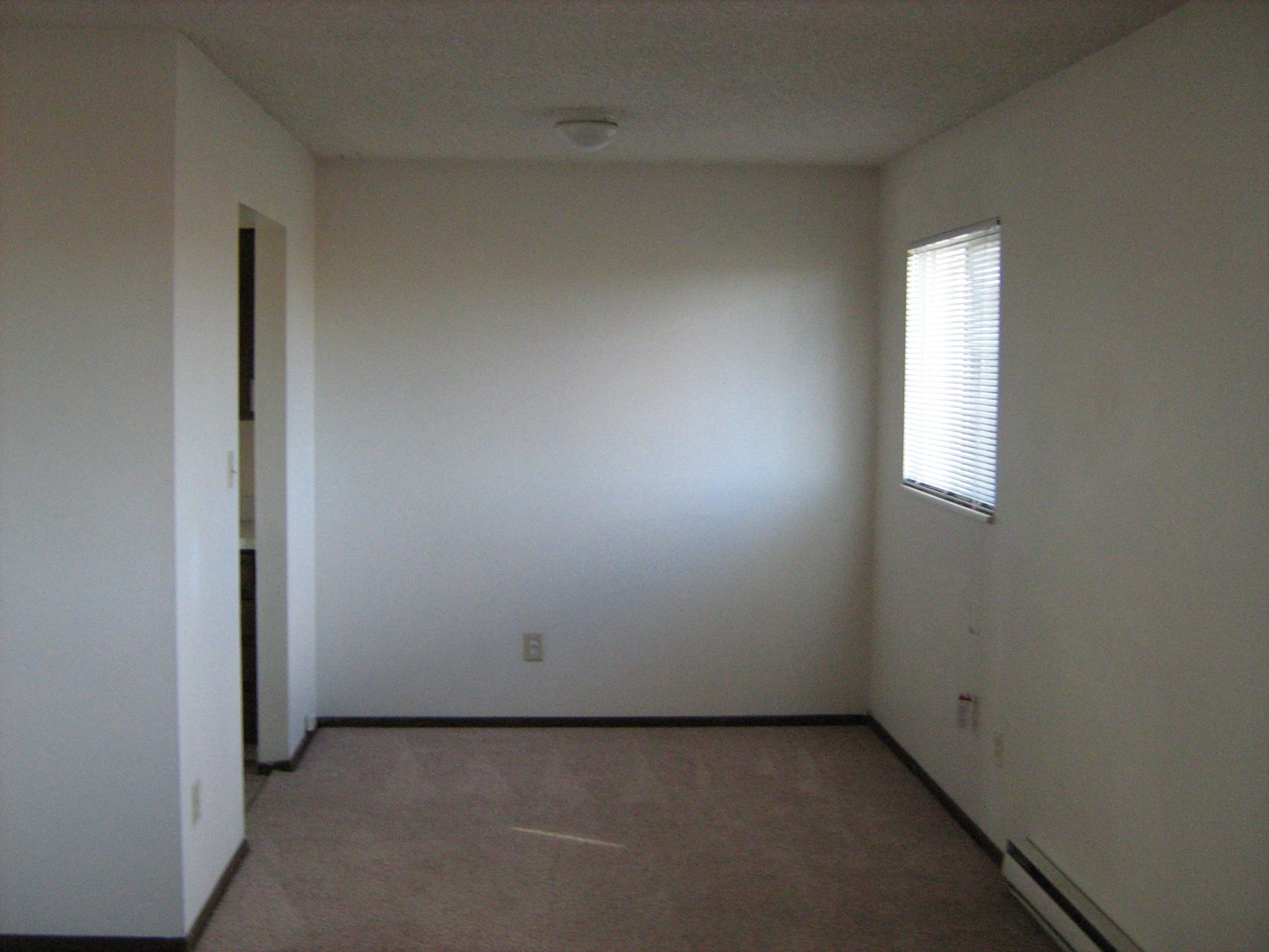Gallery Photo 1
