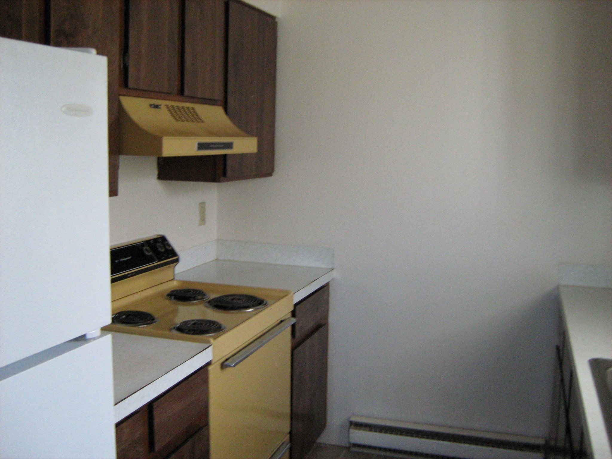 Gallery Photo 4
