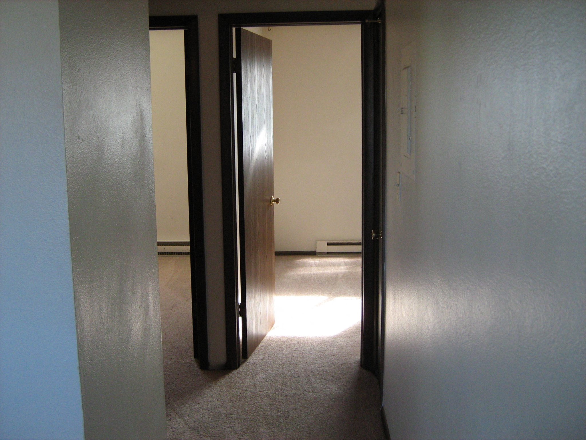 Gallery Photo 5