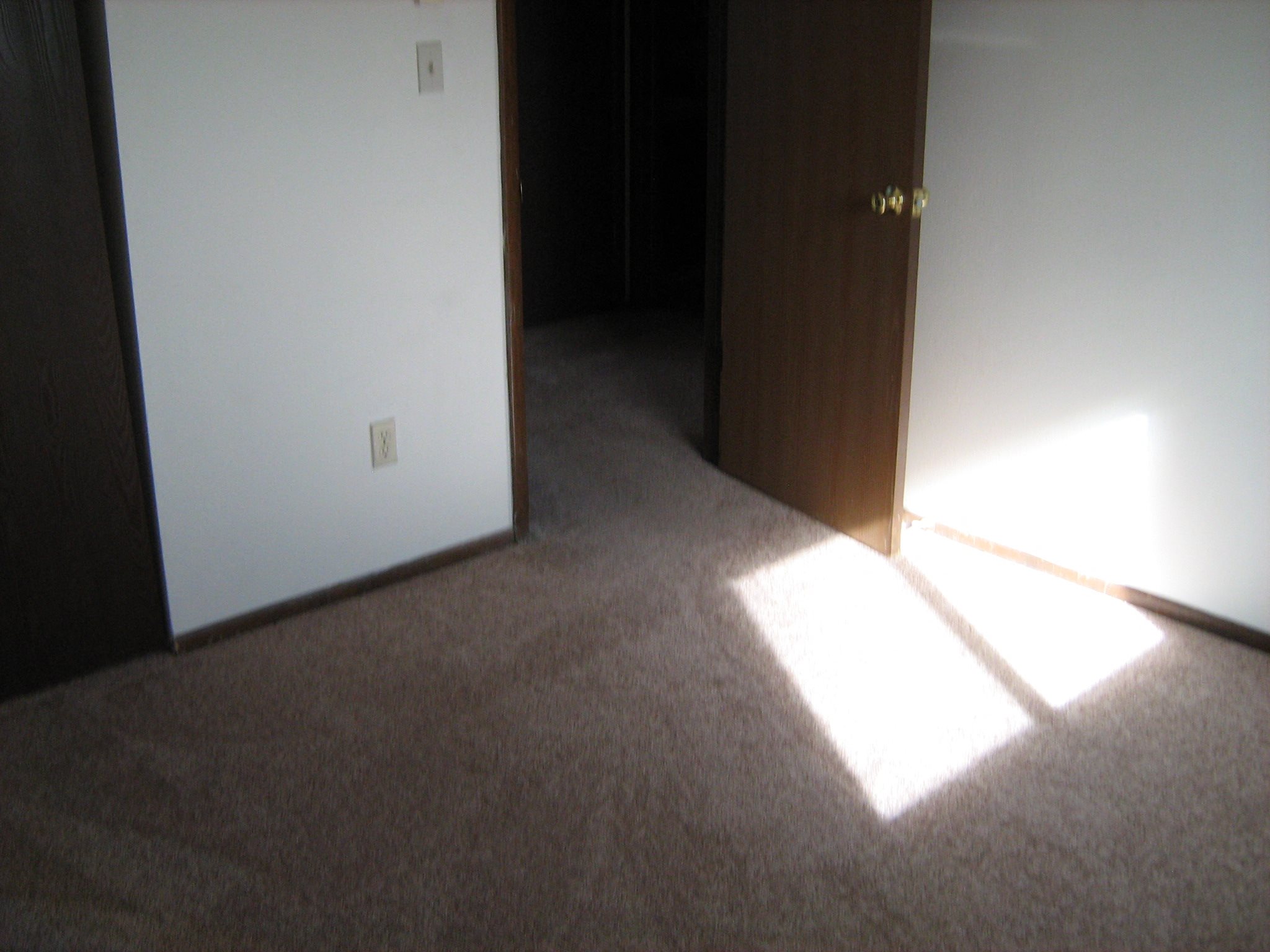 Gallery Photo 9