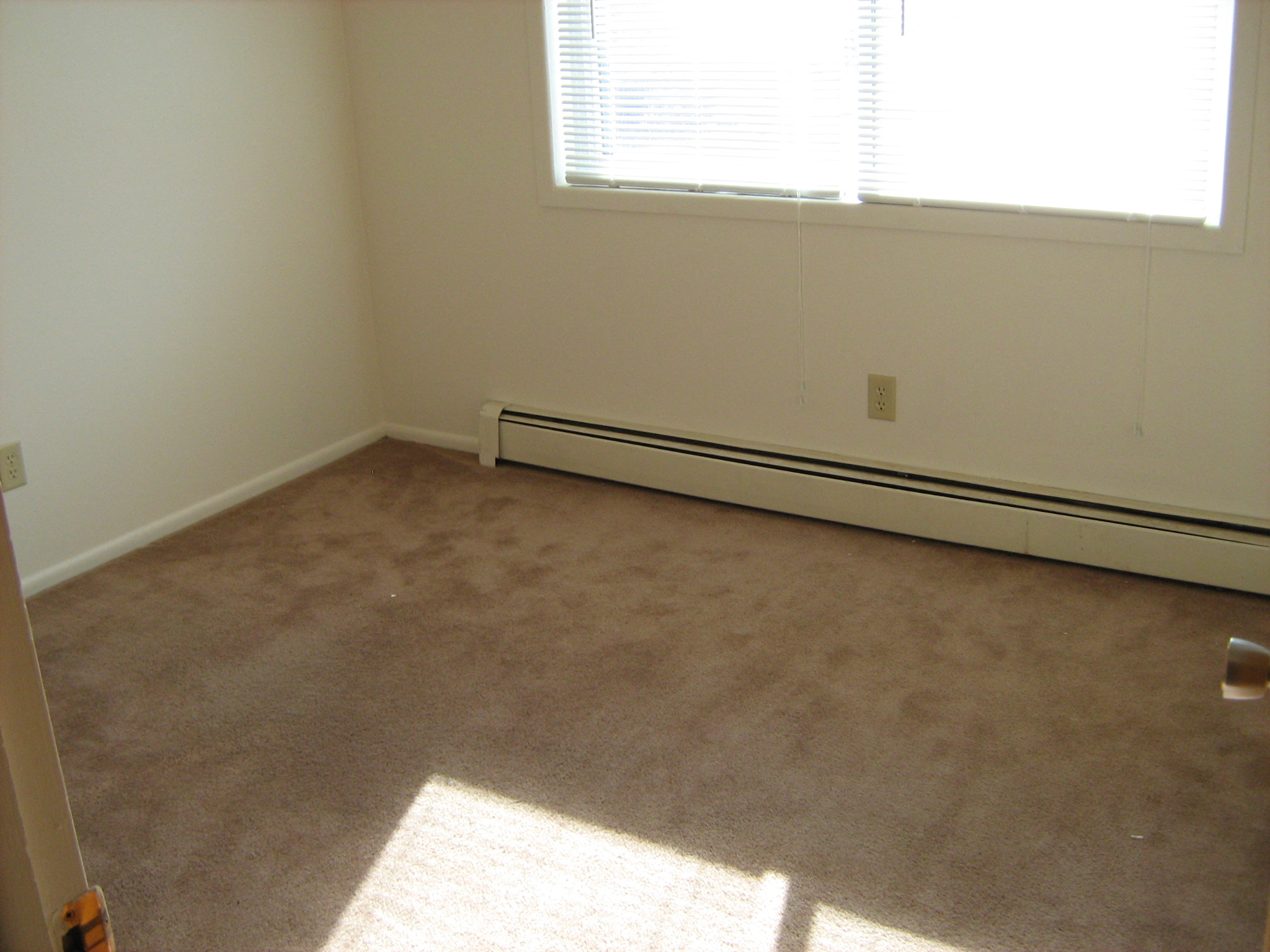 Gallery Photo 4
