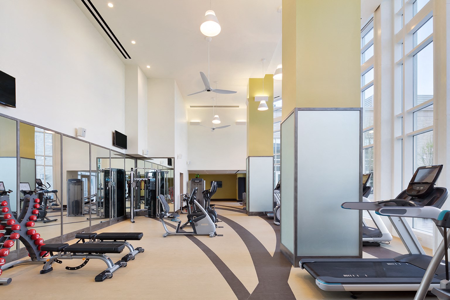 The Alexander Gallery Center City Apartments