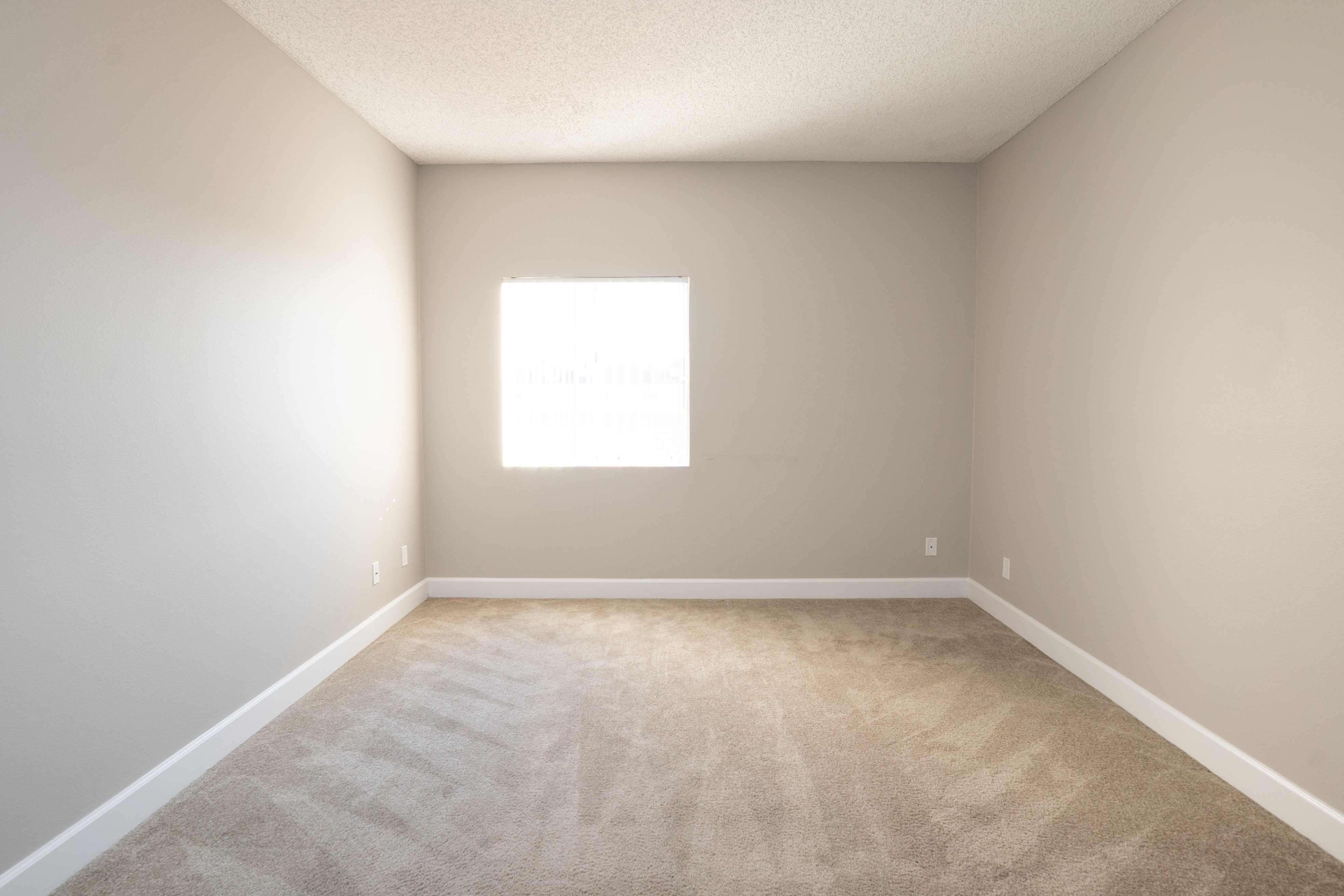 Gallery Photo 8