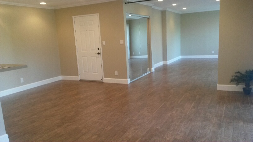 Gallery Photo 19