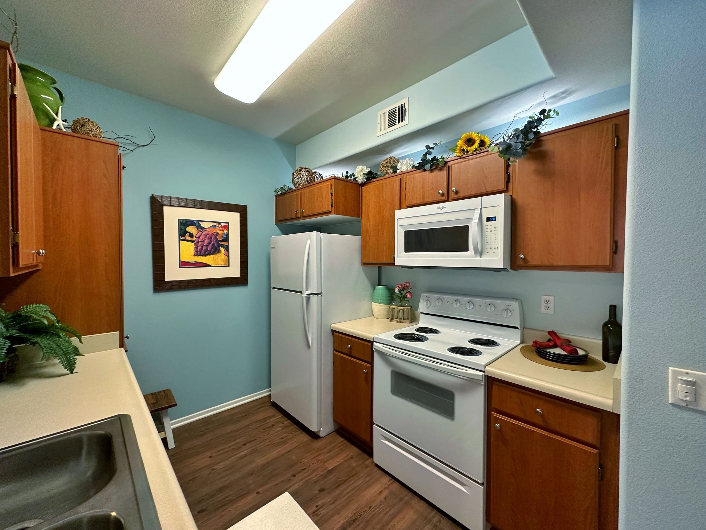 Gallery Photo 11