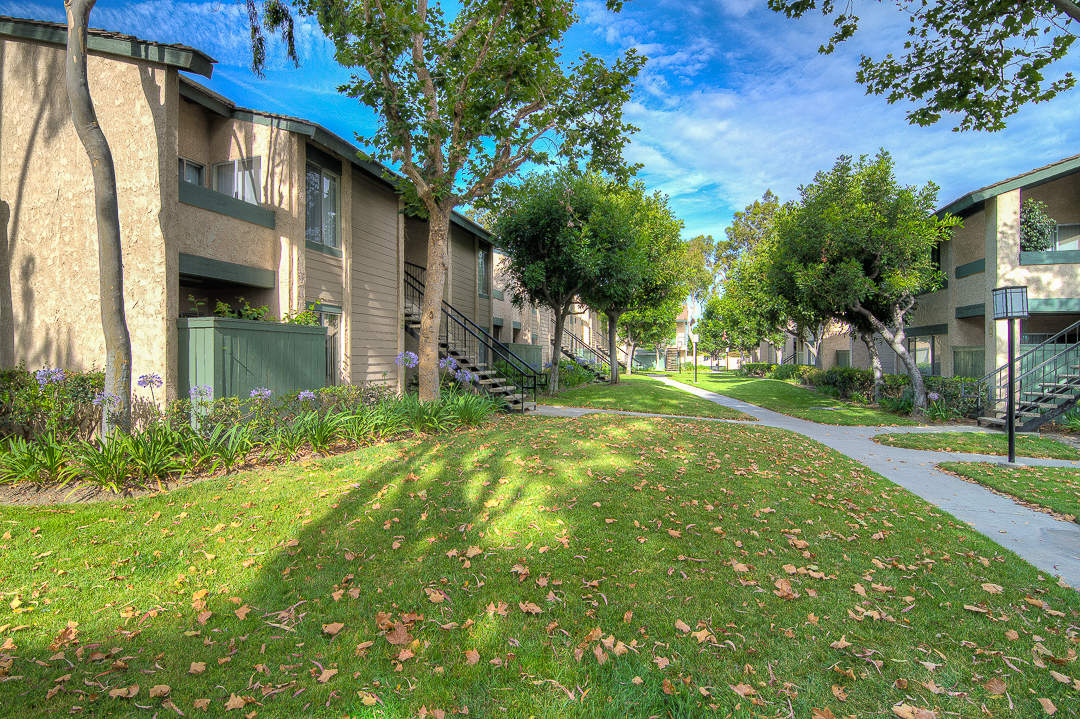 Villa Buena Custom Page