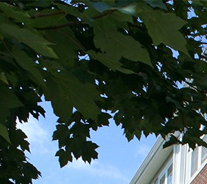 100 Park at Wyomissing Square | Apartments in Wyomissing, PA