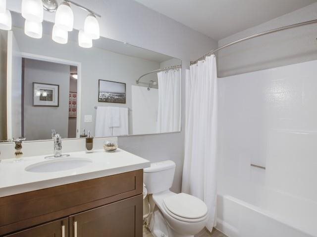 Gallery Photo 7