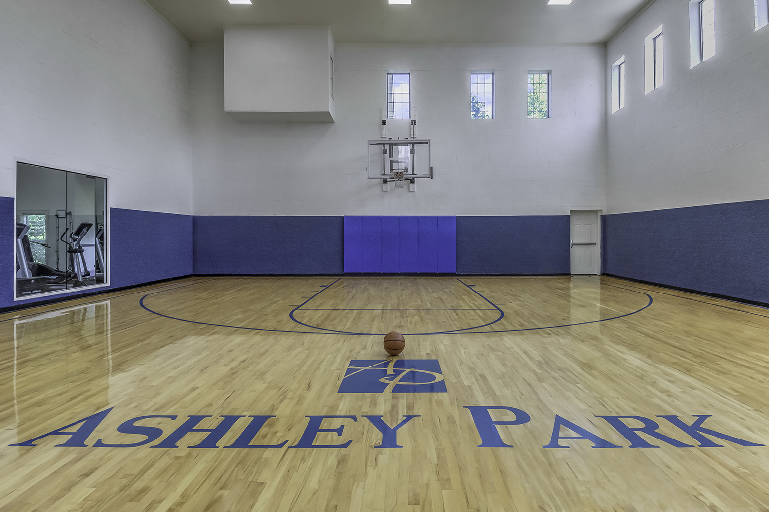 Apartment with Indoor Basketball Court