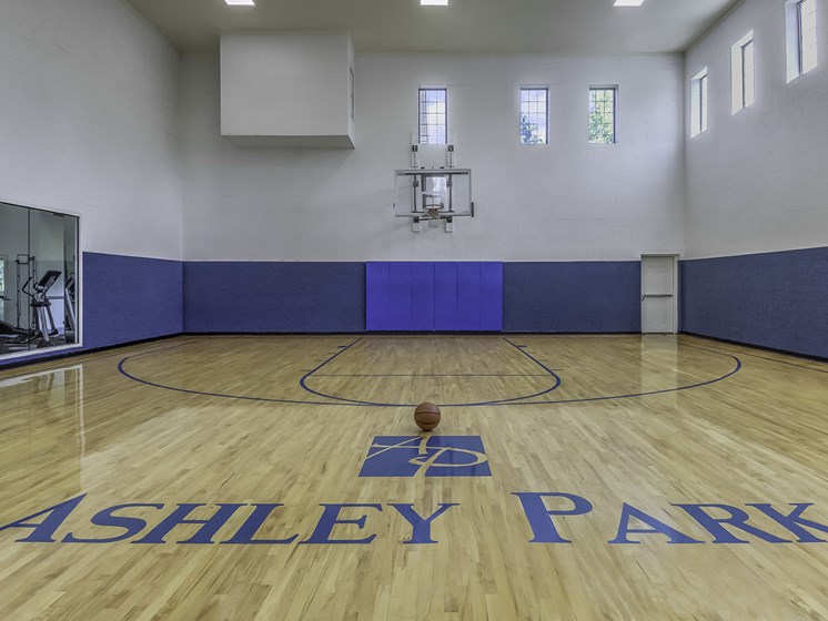 Apartment with Indoor Basketball Court