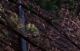 Apartments for Rent in Cambridge, MN Sunrise Court Apartments