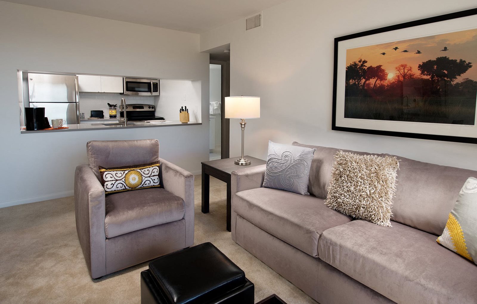 The Remington Apartments Apartment and Community Amenities