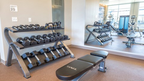 Free weights and bench in fitness center
