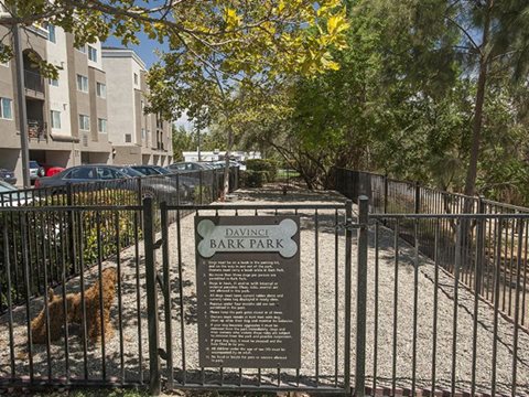 dog park l Davinci Apartments