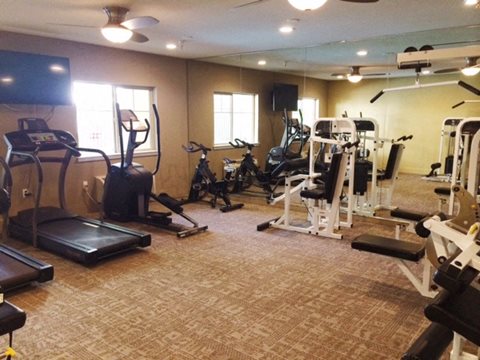 Gym  l Davinci Apartments