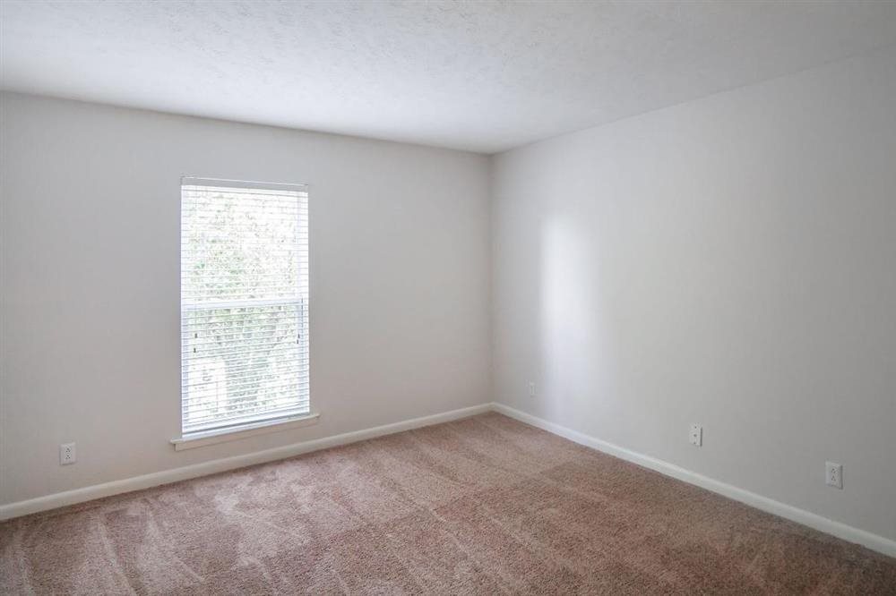 Gallery Photo 34
