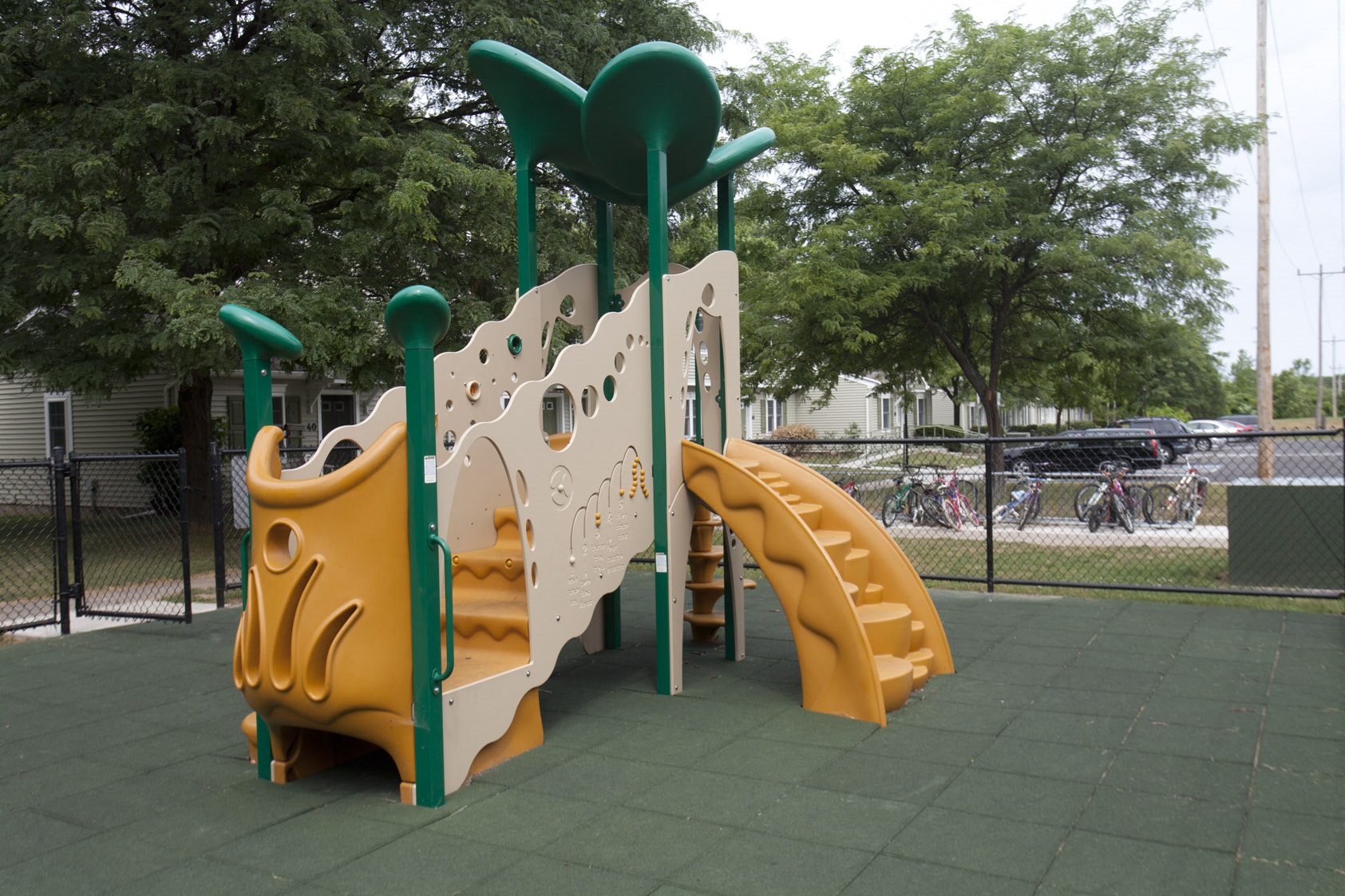 Gallery Photo 1